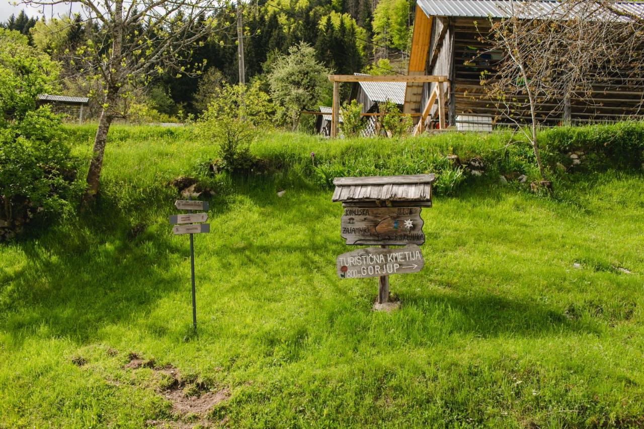 Willa Wood House Irena-Pocitniska Hisa Bohinj Zewnętrze zdjęcie