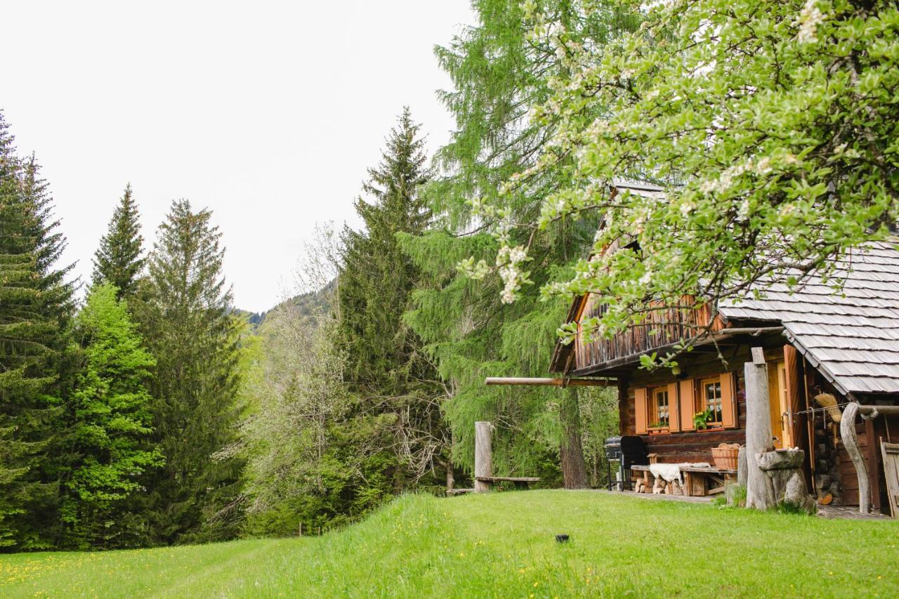 Willa Wood House Irena-Pocitniska Hisa Bohinj Zewnętrze zdjęcie